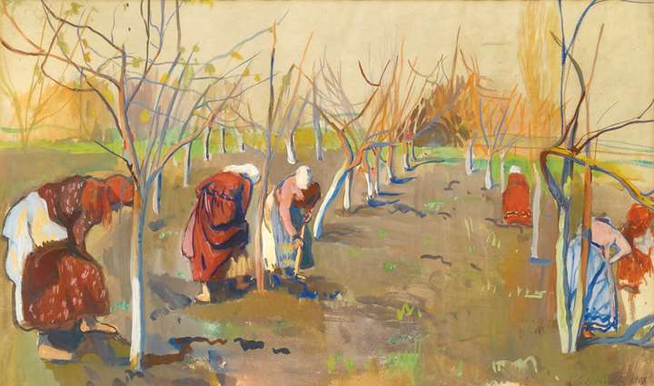 Working in Soil in the Apple Orchard